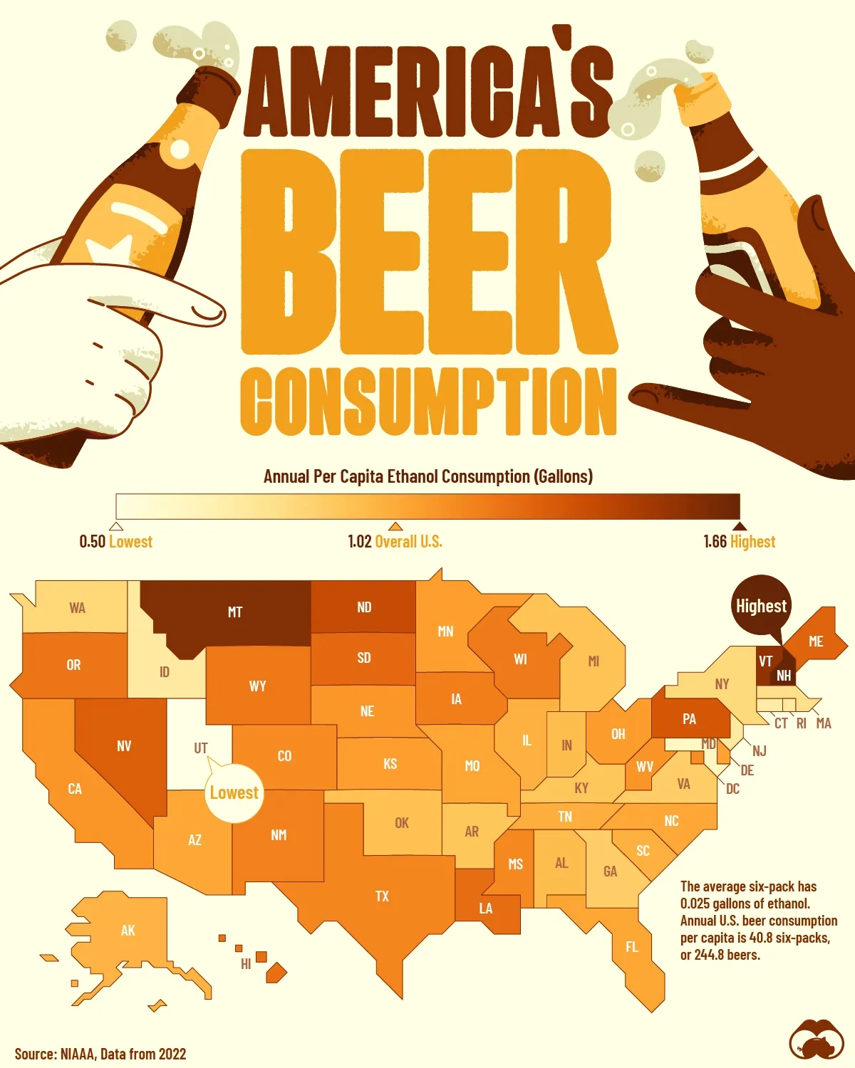 Which U.S. States Consume The Most Beer? 🍺