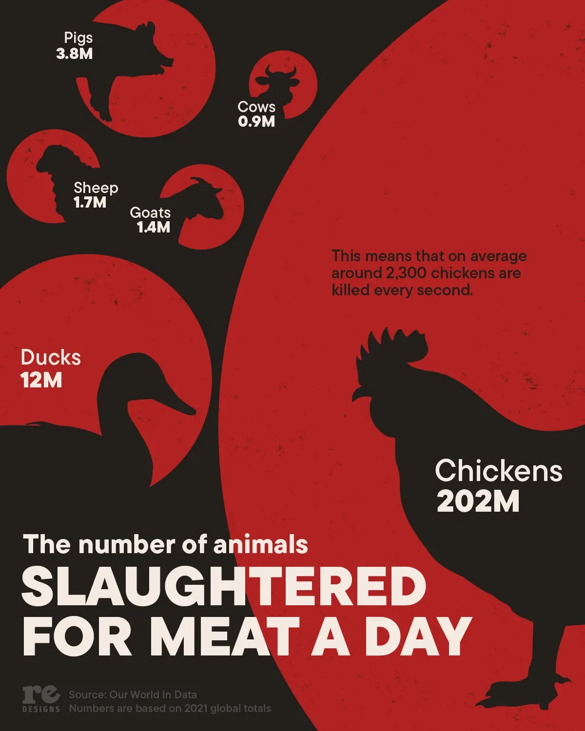 How many animals are slaughtered for meat every day? 