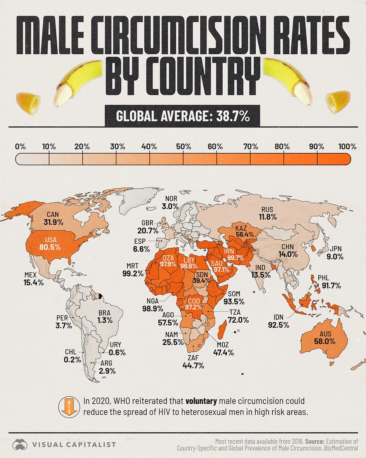 Where Male Circumcision Rates Are Highest, by Country👨🏻‍⚕️