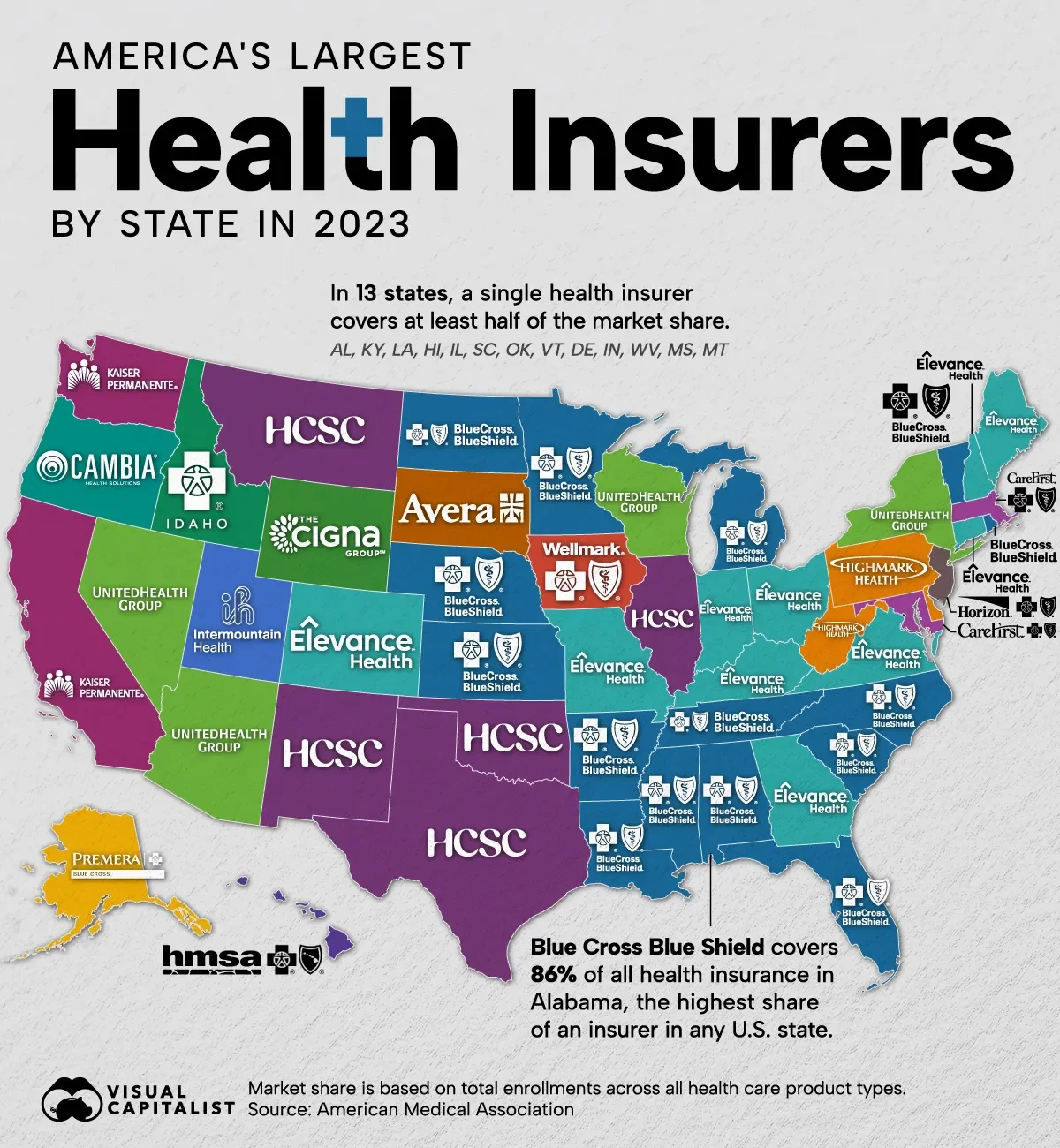 Which Health Insurers Dominate Each U.S. State?🏥