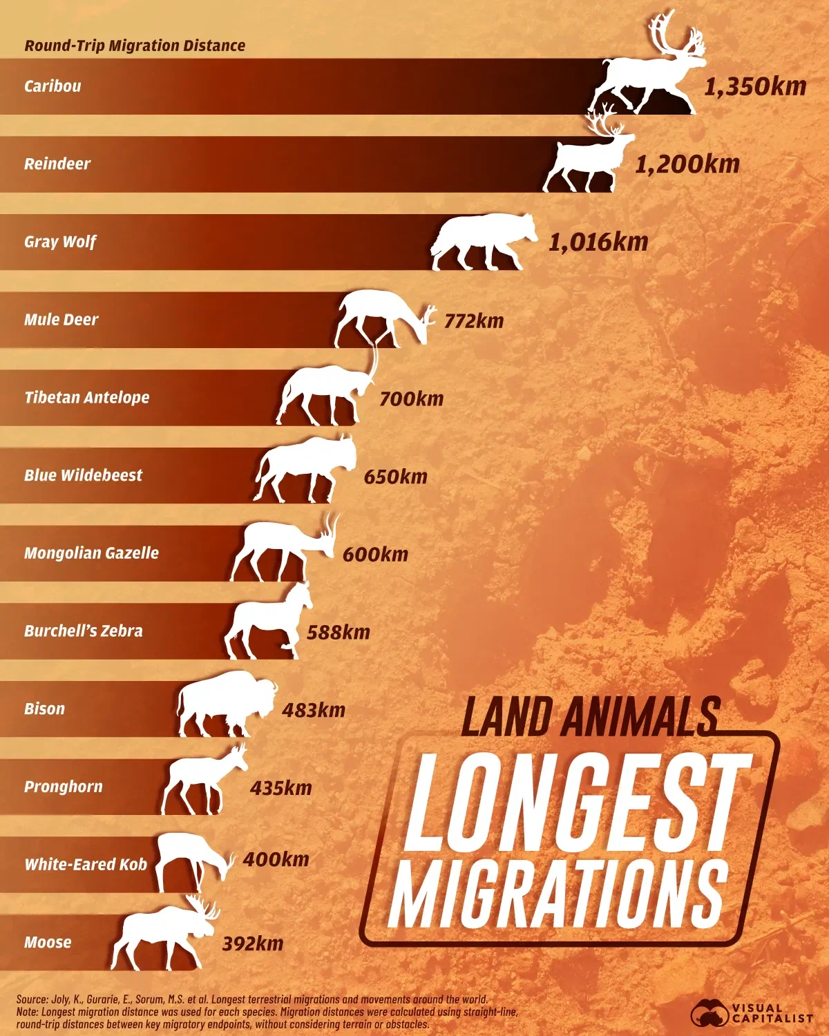 Land Animals With The Longest Terrestrial Migrations 🦌