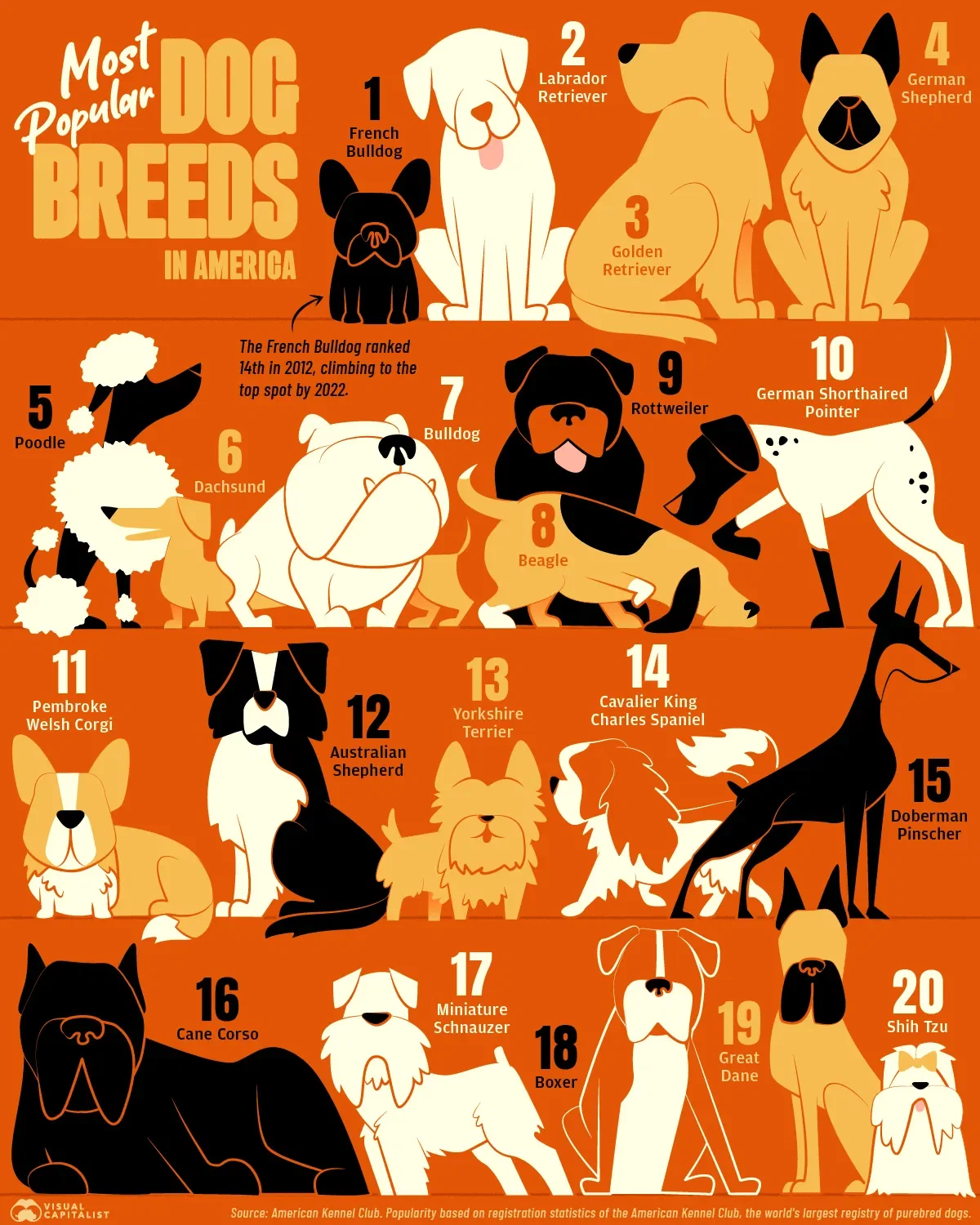 The Most Popular Dog Breeds in the U.S.