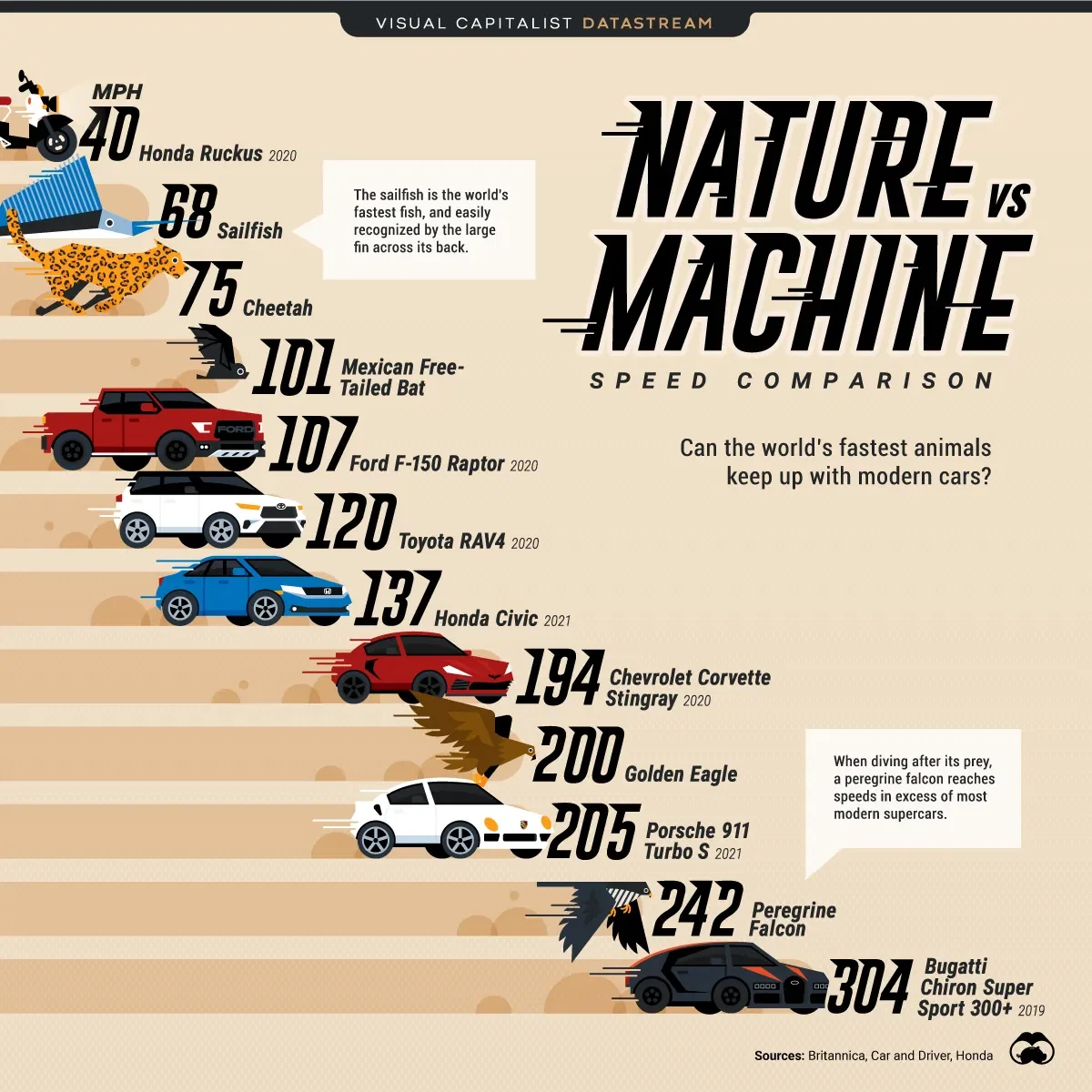 What’s Faster, Nature or Machine?